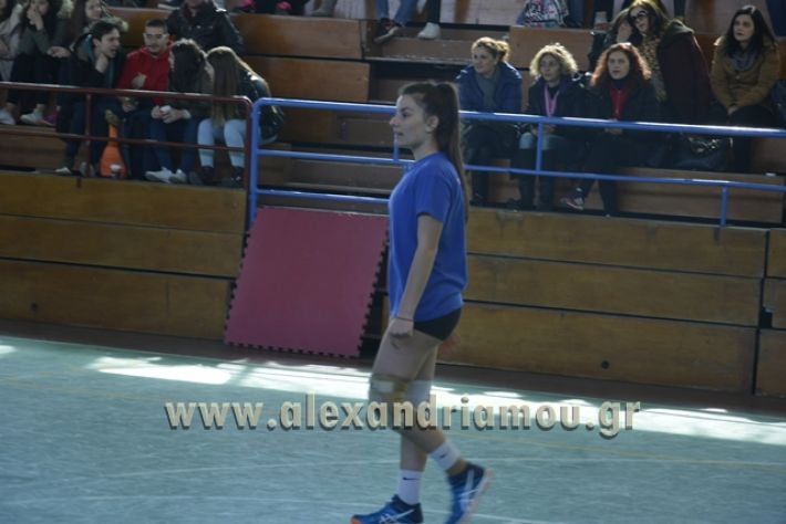 volley_1o-alexandreias-melikis2018 (73)
